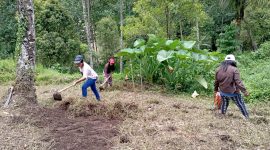Pemberdayaan masyarakat dalam kegiatan Ketahanan Pangan Penanaman Bibit Jagung
