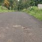 Akses jalan Desa Pinaling Kecamatan Amurang Timur Kabupaten Minahasa Selatan, yang pengerjaannya diduga asal jadi atau tidak sesuai prosedur standar pengerjaan/ Foto: TelusurNews
