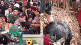 Foto: evakuasi warga terhadap kedua korban tanah longsor di Desa Wanga Minsel, dibantu oleh TNI dan Kepolisian, inserted photo kedua korban tanah longsor 