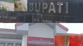 Foto: kolasi gambar dugaan kasus yang pernah diberitakan di beberapa media sebelumnya.