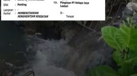 Foto: Saluran tempat pembuangan akhir yang diduga limbah pabrik PT Kelapa Jaya Lestari (KJL) Kapitu. Inserted: tangkapan layar Surat Pemberitahuan Penghentian Sementara Aktivitas Produksi PT Kelapa Jaya Lestari.